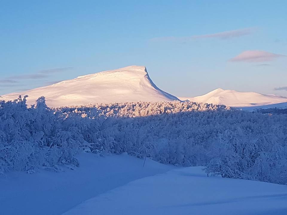 Bruksvallarna - Modern Fjaellstuga Med Panoramautsikt Och Wifi Exterior photo