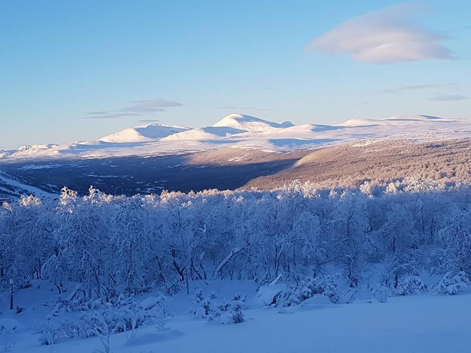 Bruksvallarna - Modern Fjaellstuga Med Panoramautsikt Och Wifi Exterior photo