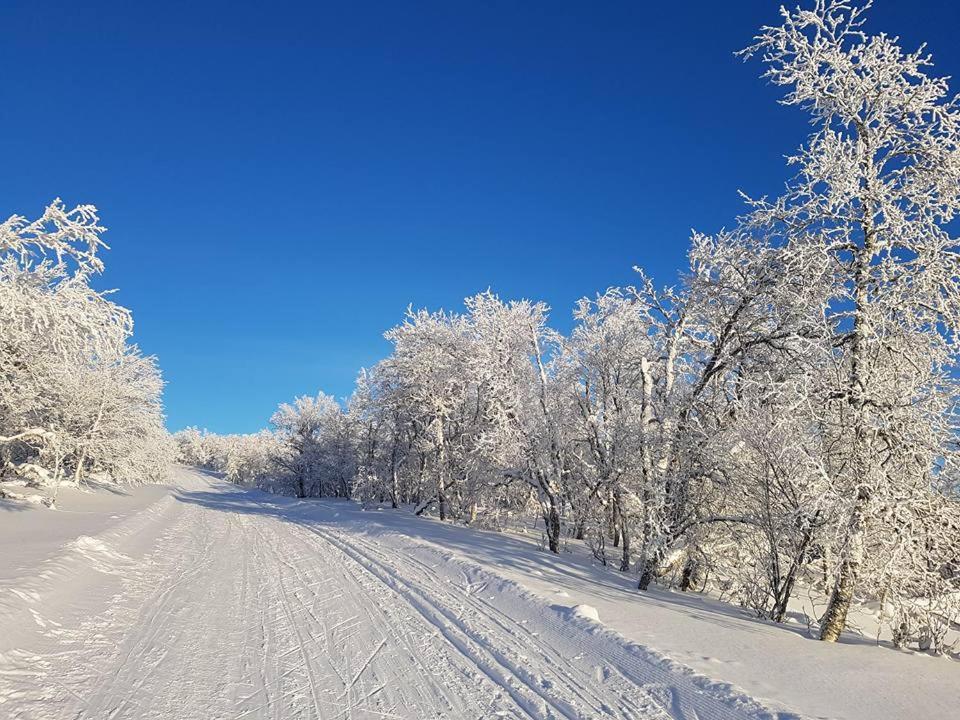 Bruksvallarna - Modern Fjaellstuga Med Panoramautsikt Och Wifi Exterior photo